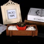 Planter Box, Wooden Sturdy Rectangular Frame - Image 2