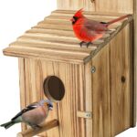 Wooden Birdhouse with Lift-Up Front Cleaning Door