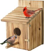 Wooden Birdhouse with Lift-Up Front Cleaning Door